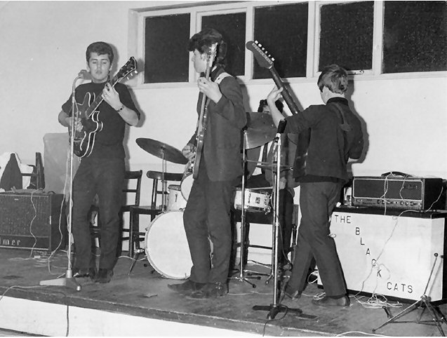 black cats 1964